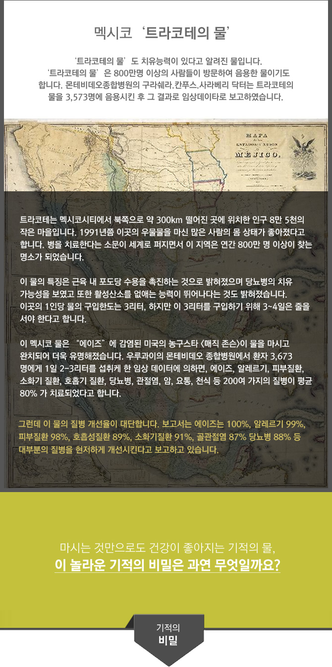 멕시코 트라코테의 물