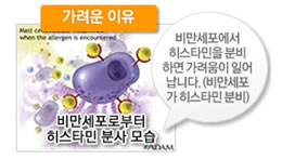 비만세포
